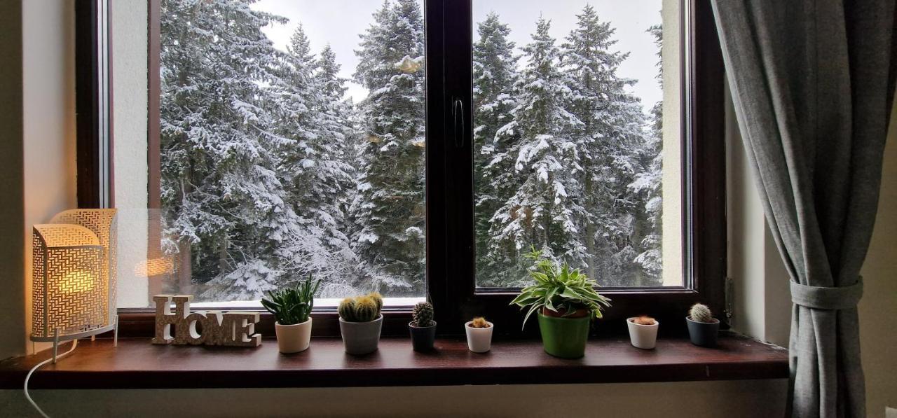 Pine Tree Apartment / Borovets Gardens Exterior photo