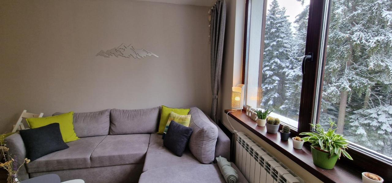 Pine Tree Apartment / Borovets Gardens Exterior photo
